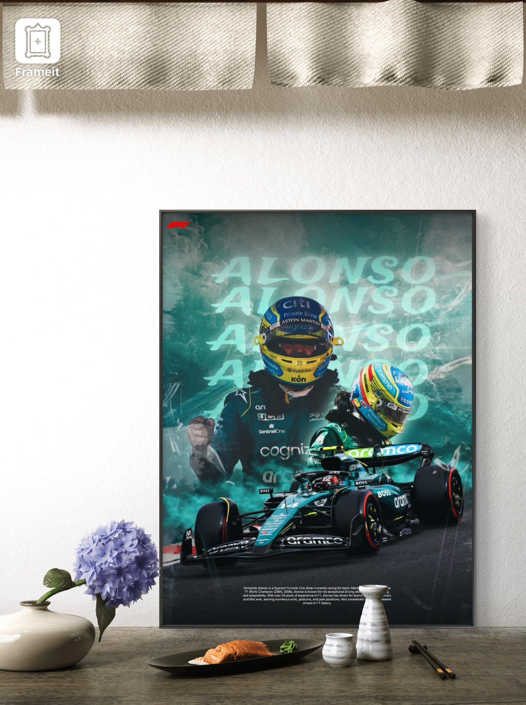 F1 GRAPHICS EDITION