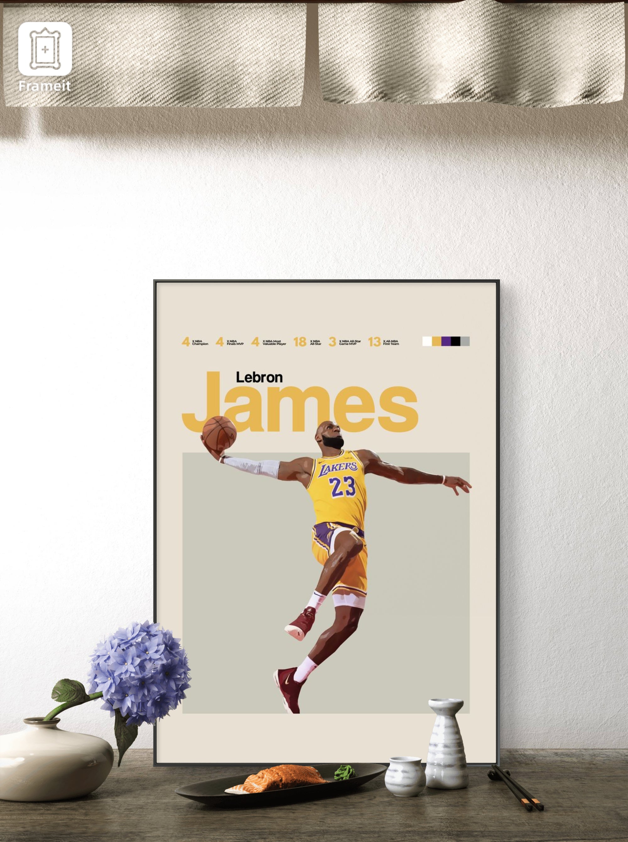 LEBRON JAMES FRAME