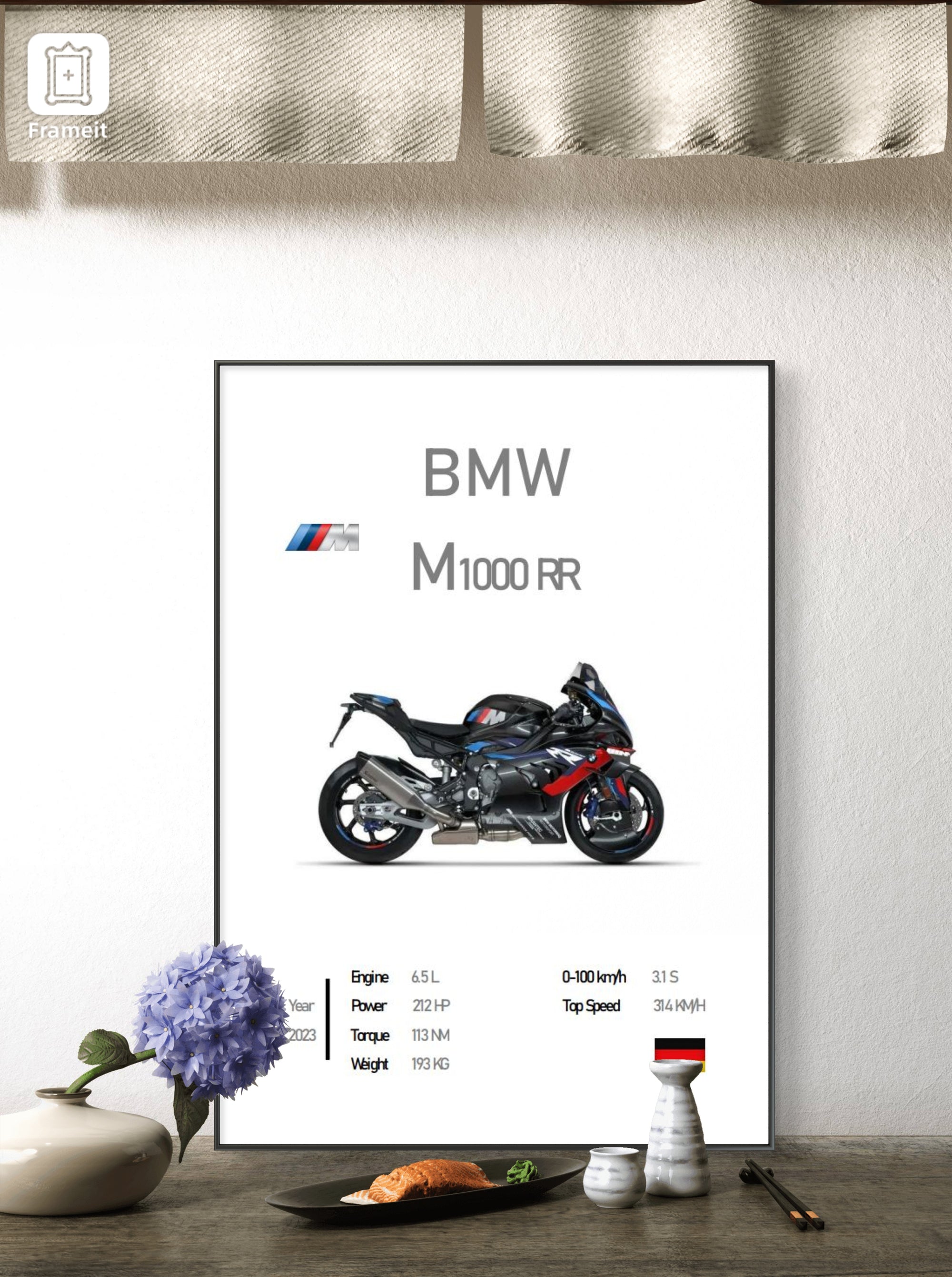 BMW S1000R FRAME